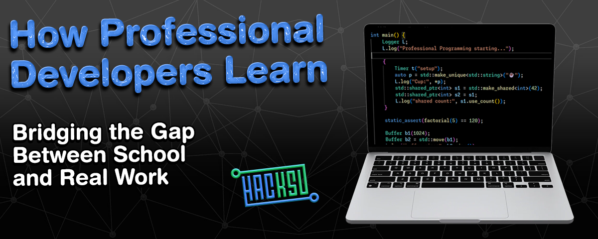 How Professional Developers Learn