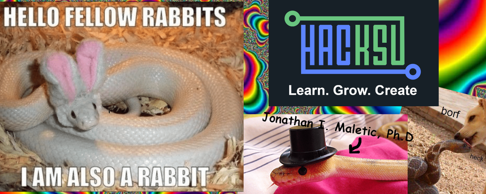 How to Program in Python