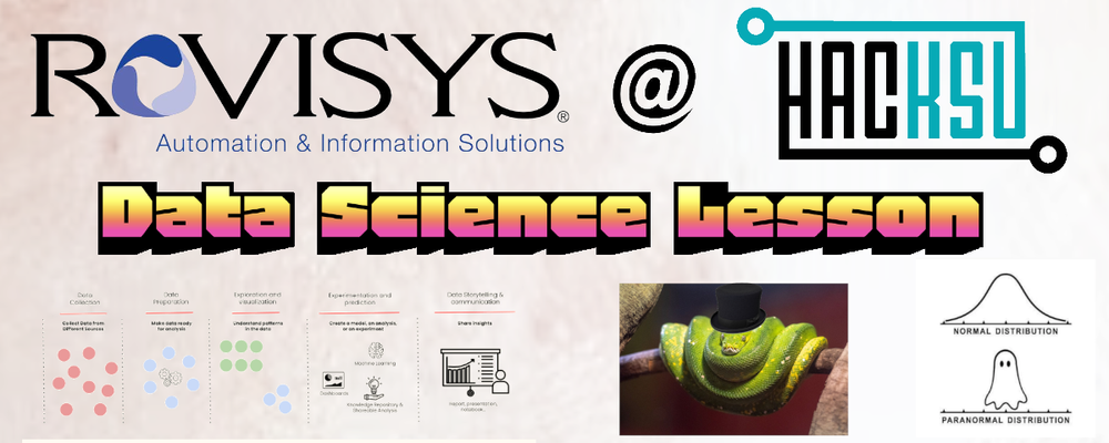 The Data Science Lifecycle