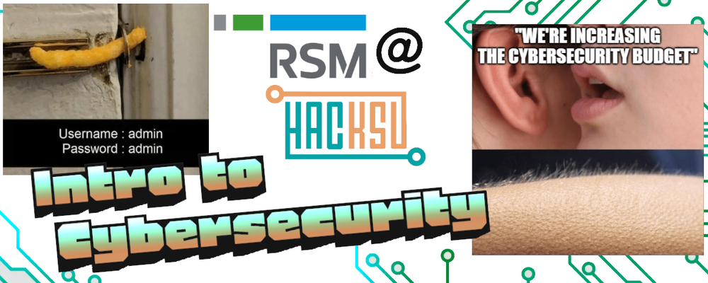 Cybersecurity Overview w/ RSM
